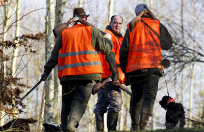 Assurance Organisateur de chasse