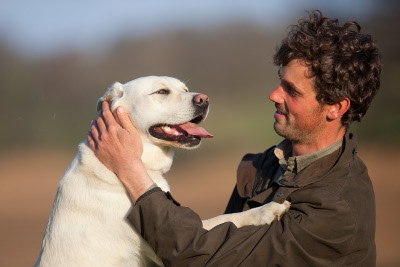 Assurance Chien